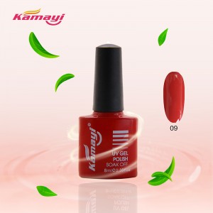 Nhãn hiệu riêng Gel Gel Ba Lan Môi trường Uv / led Gel Nail Ba Lan cho móng tay Salon